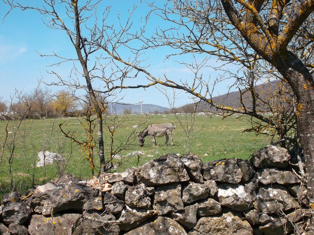 Gacka Valley Licko Lesce Zewnętrze zdjęcie